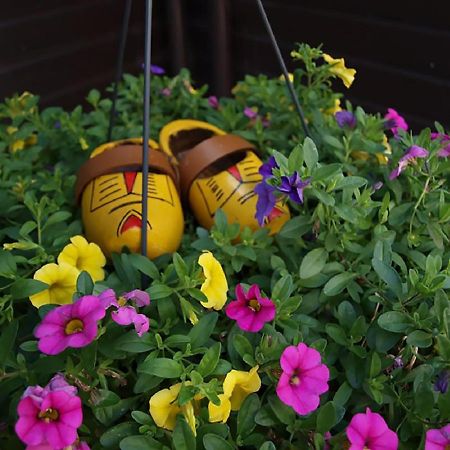 B&B Hulleste Westerland Экстерьер фото