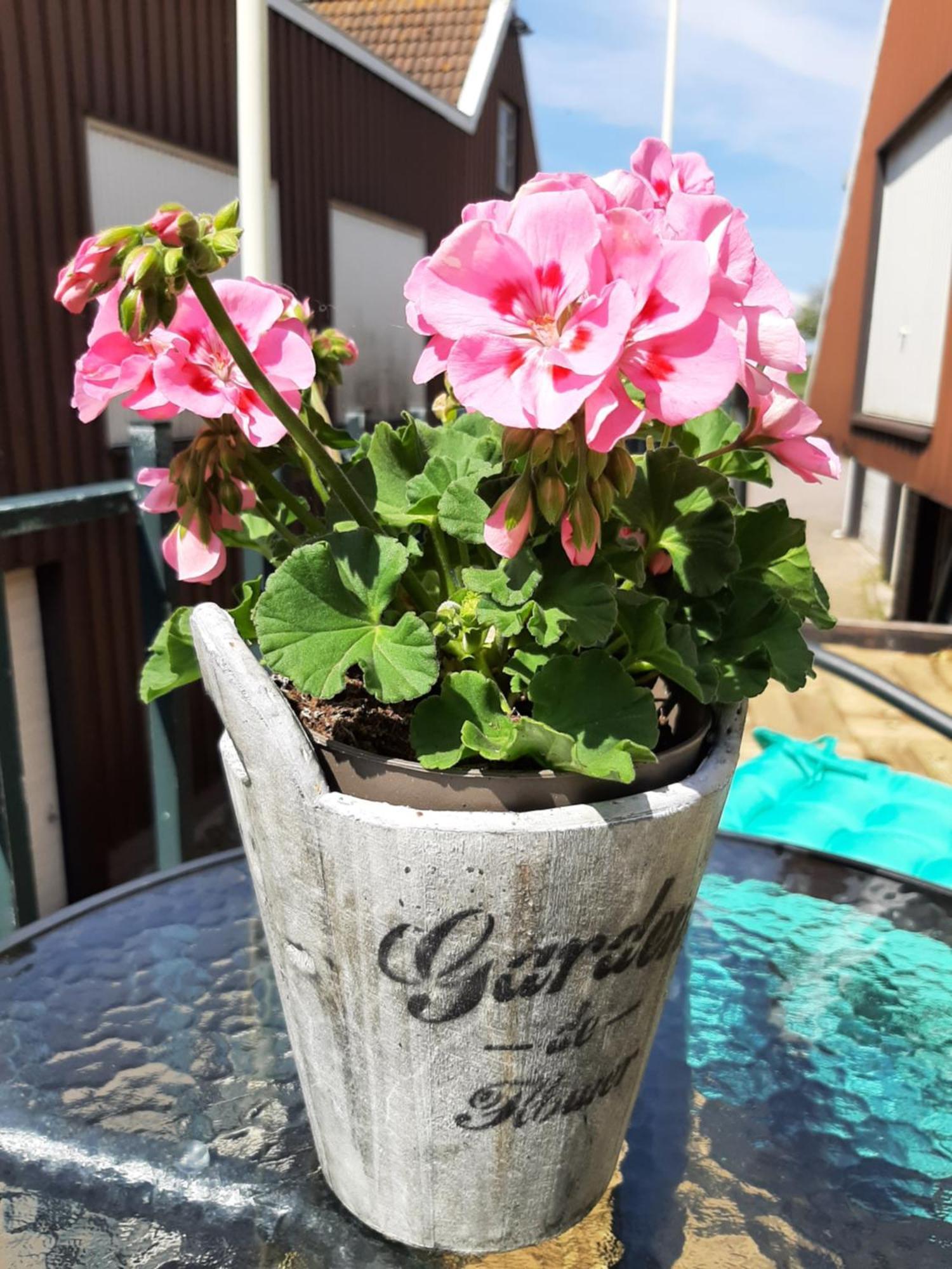 B&B Hulleste Westerland Экстерьер фото